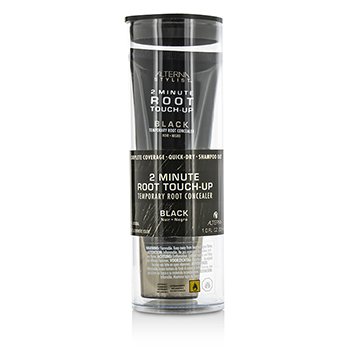 Stylist 2 Minute Root Touch-Up Temporary Root Concealer - # Black