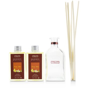 Reed Diffuser - Fruity Mint