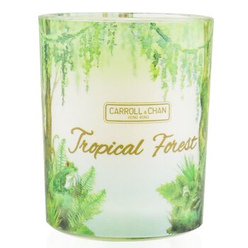 100% Beeswax Votive Candle - Tropical Forest