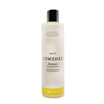 Boost Shampoo